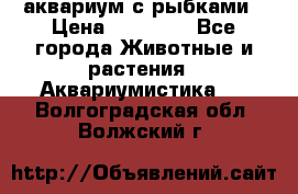 аквариум с рыбками › Цена ­ 15 000 - Все города Животные и растения » Аквариумистика   . Волгоградская обл.,Волжский г.